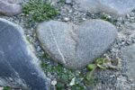 If You Follow Your Heart You Can Lead