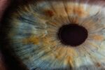 See Your Present with New Eyes