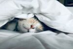 Duality Creates Suffering